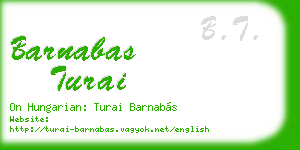 barnabas turai business card